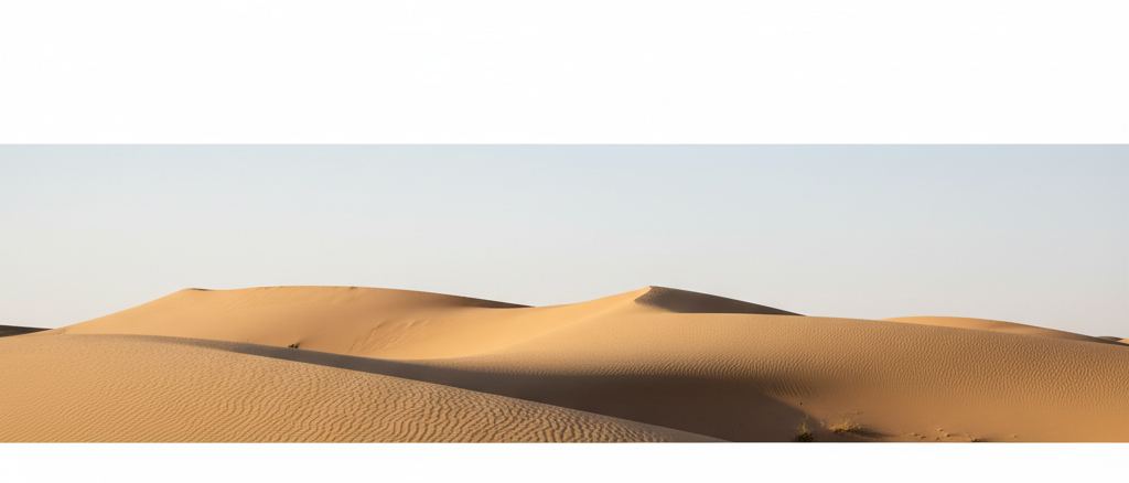 The crest of a dune ridge against a bright empty sky