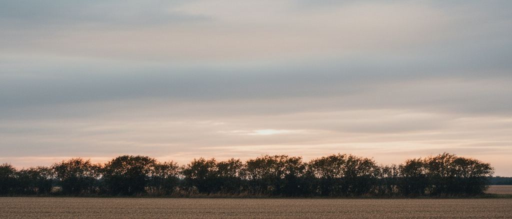 The far hedge line of a large flat field against a low sky at dusk