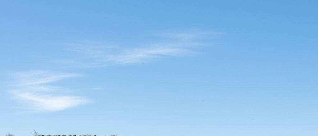 The top edge of the highest terrace on a hillside against open sky
